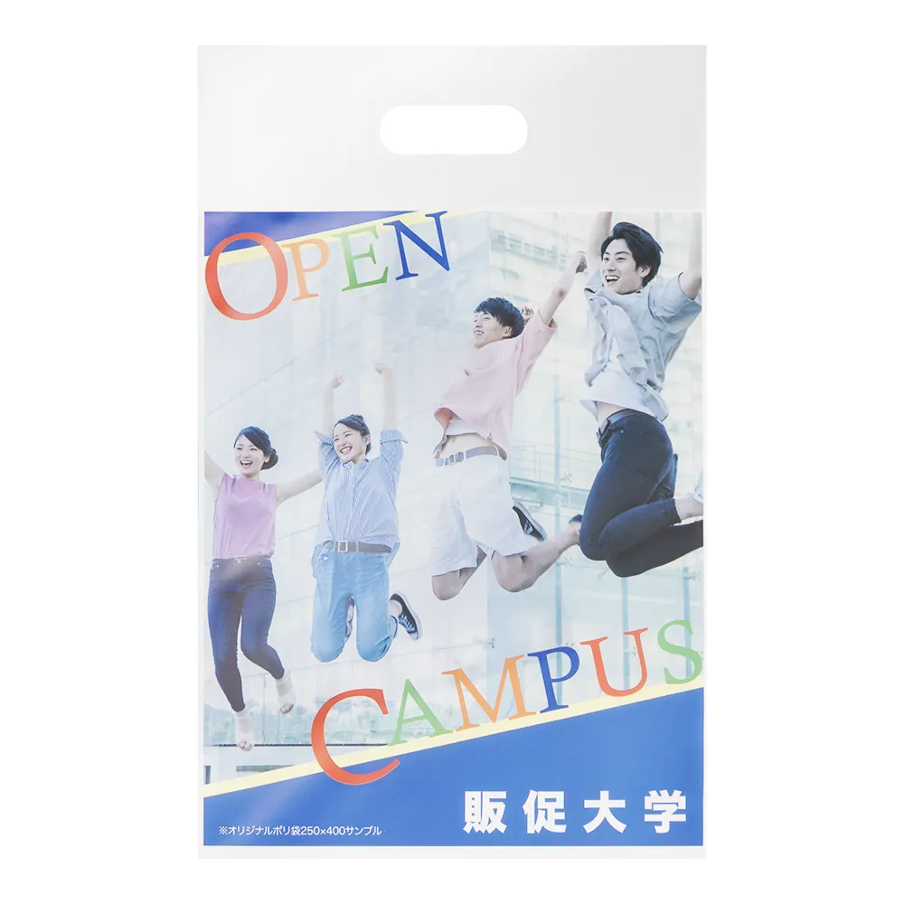 オリジナルポリ袋(250×400mm)