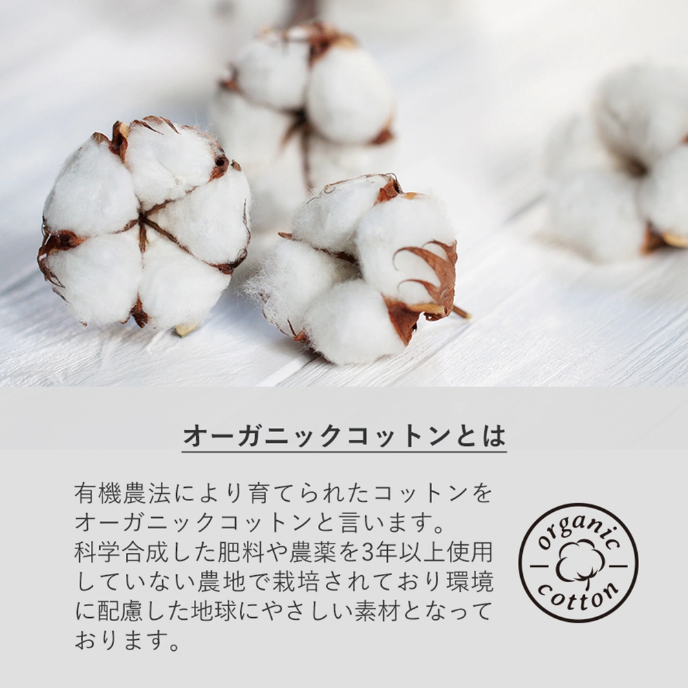 オーガニック厚手コットン紐リボントートナチュラル