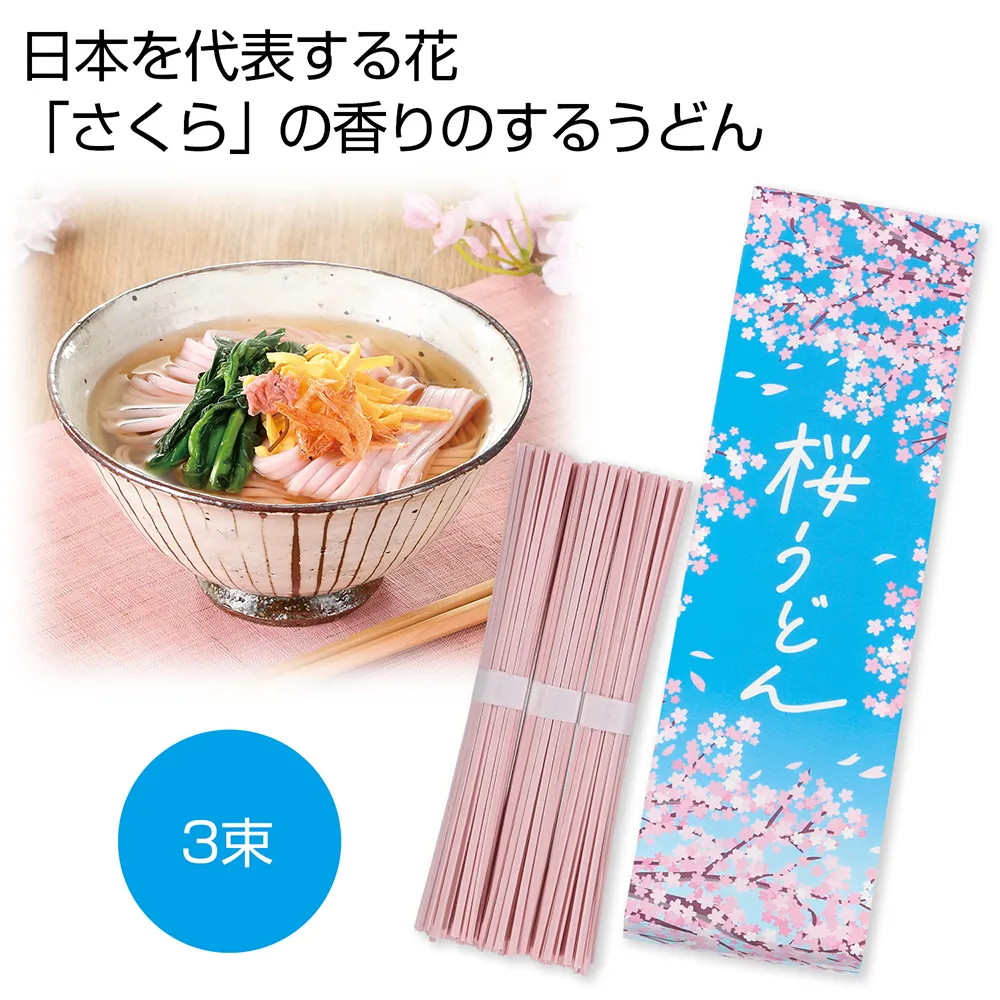 桜うどん3束