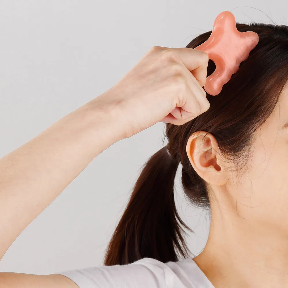 ローズボーテ・カッサプレート