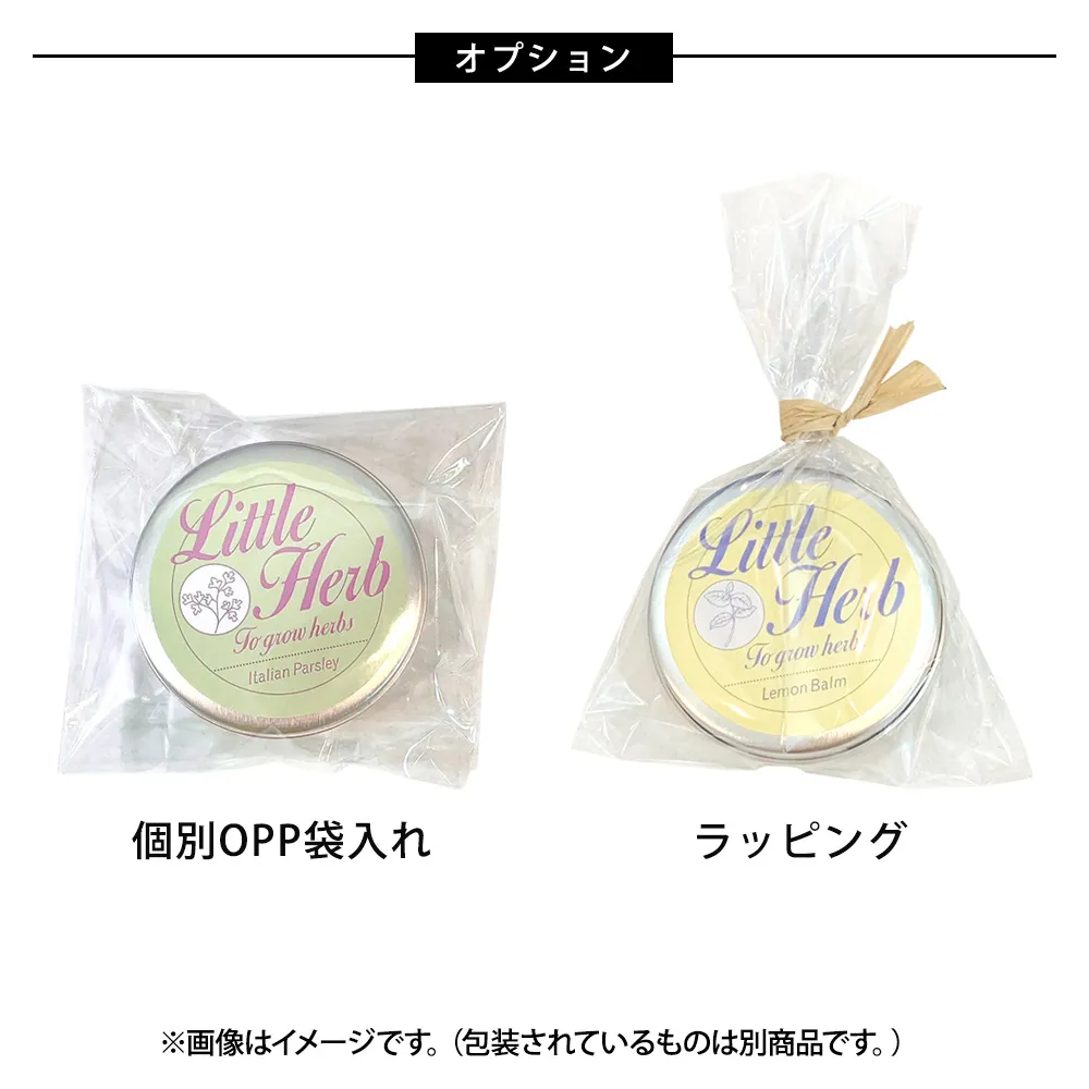 プチギフトパームガーデン ミニ缶入り栽培キット(メッセージ)