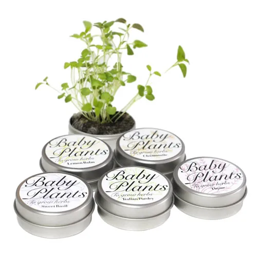 ベビープランツ ミニ缶入り栽培キット(オリジナルシール)