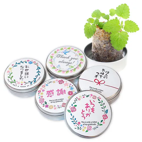 プチギフトハーブ缶 ミニ缶入り栽培キット(メッセージ)