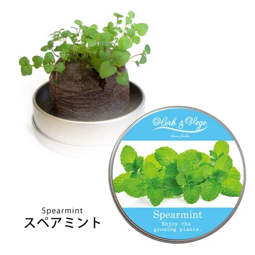ハーブ＆ベジ ミニ ミニ缶入り栽培キット(オリジナルシール)