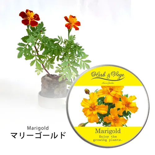 ハーブ＆ベジ ミニ ミニ缶入り栽培キット(オリジナルシール)