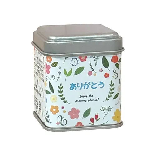 プチギフトパームガーデン ミニ缶入り栽培キット(メッセージ)