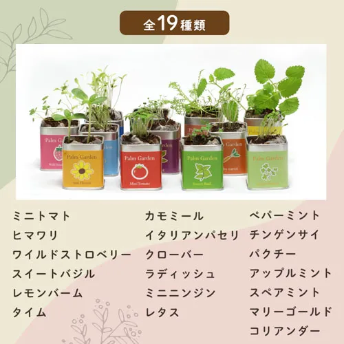プチギフトパームガーデン ミニ缶入り栽培キット(メッセージ)
