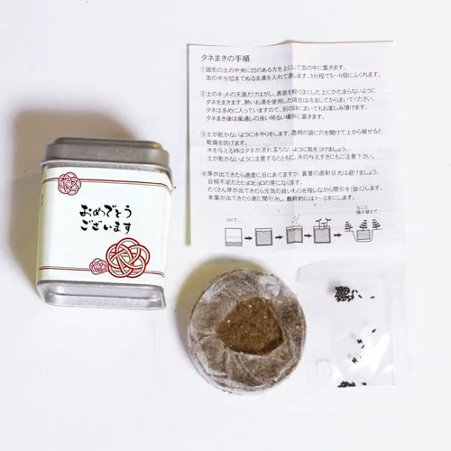 プチギフトパームガーデン ミニ缶入り栽培キット(メッセージ)