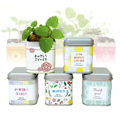 プチギフトパームガーデン ミニ缶入り栽培キット(メッセージ)