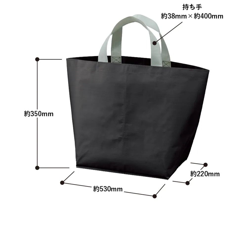 デイリーレジャートート(L)