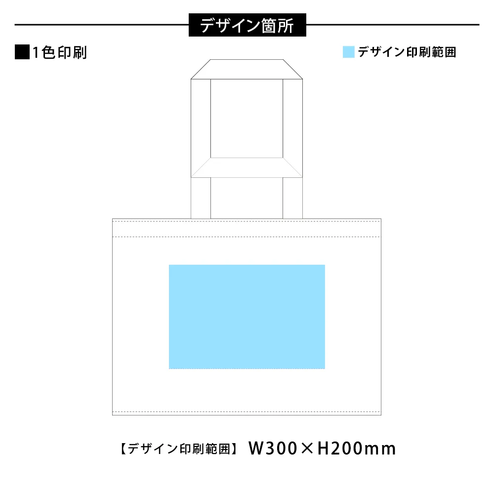 ビッグスクエアレジャートート