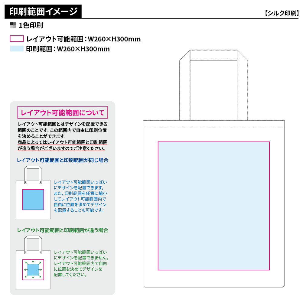 ライトキャンバスフラットバッグ(L)カラー