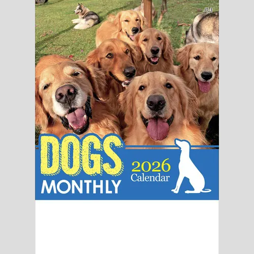 ドッグマンスリー　JT3