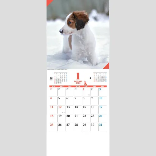 ドッグマンスリー　JT3