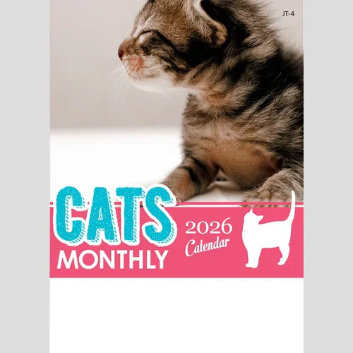 キャッツマンスリー　JT4