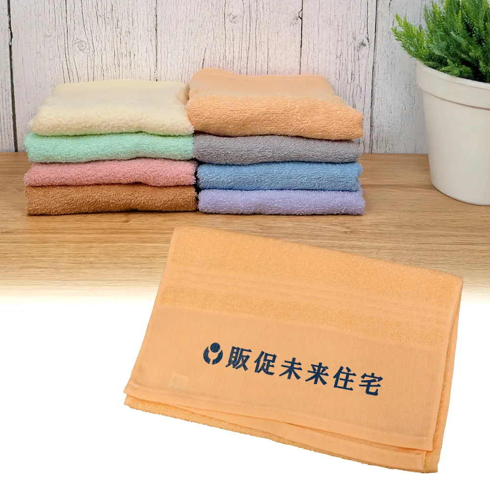 のし付 名入れご挨拶用カラータオル