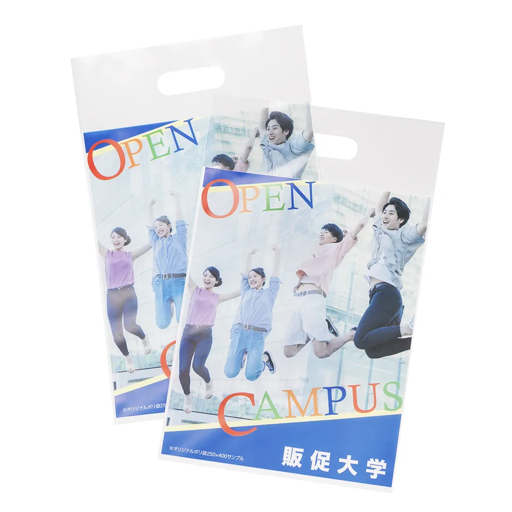 オリジナルポリ袋(250×400mm)