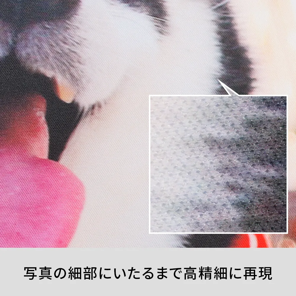 極鮮マイクロファイバーミニハンカチ25cm(フルカラー印刷)