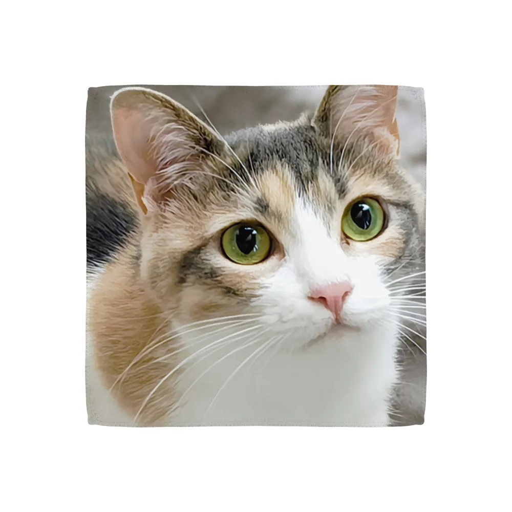 極鮮マイクロファイバーミニハンカチ20cm(フルカラー印刷)