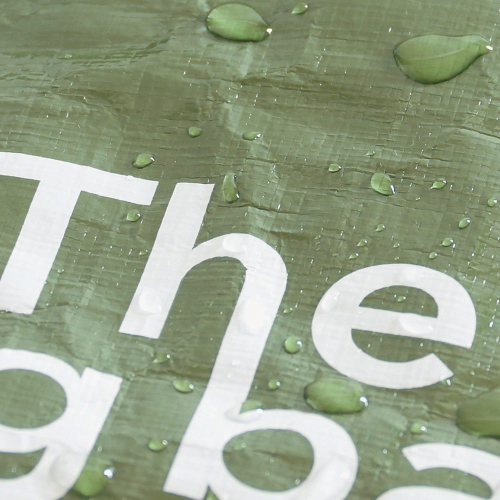 ザ・ビッグバッグ