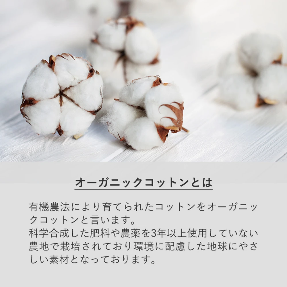 フェアトレードコットンキャンバストート(S)内ポケット カラー