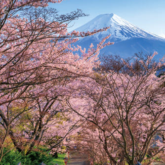 日本の風景